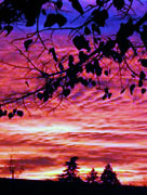 <u>Pagan Moot e incontri mensili nelle Marche</u> <u>Pagan Moot e incontri mensili nelle Marche</u>