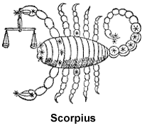 immagine del segno solare corrente